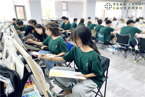 新闻中心 太原市孪生文化艺术培训学校